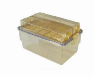 IVC鼠笼盒